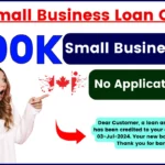 BDC Small Business Loan Canada - This company gives $100K Small Business Loans, no application fees