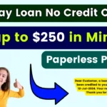 Payday Loan No Credit Check - Get up to $250 in minutes, Paperless Process